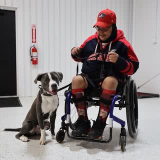 A TASDF recipient in a wheelchair holding the leash of a gray and white pit bull service dog